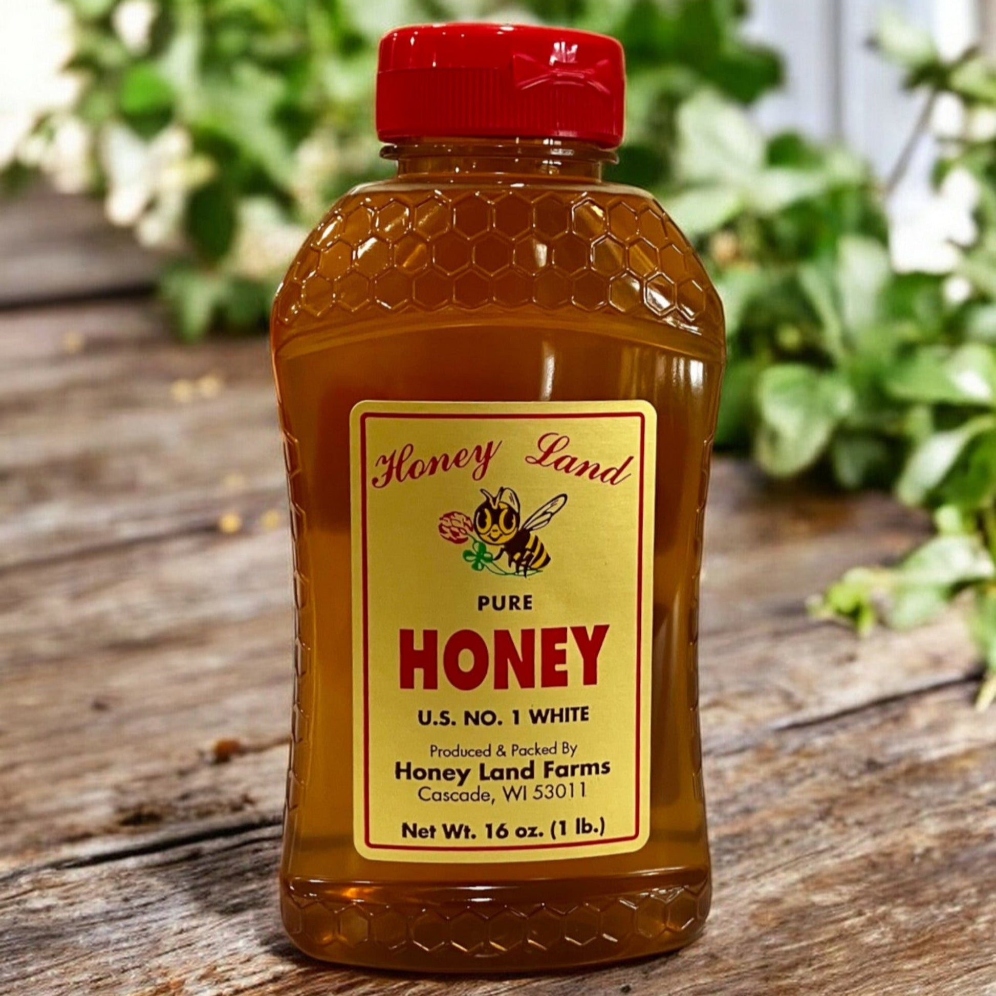 16 oz Honey Land Honey Bottle - Holland Landscape Supply