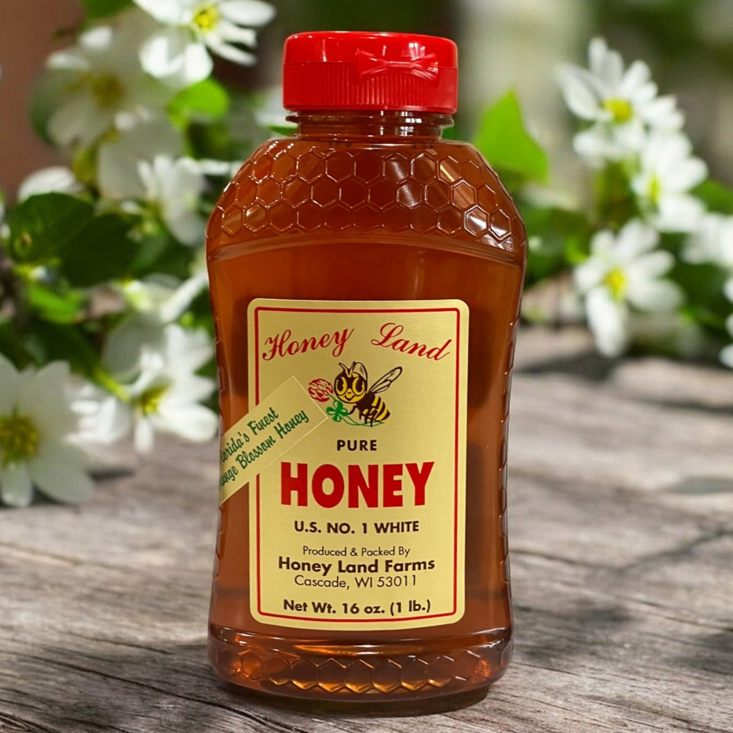 16 oz Honey Land Honey Bottle - Holland Landscape Supply