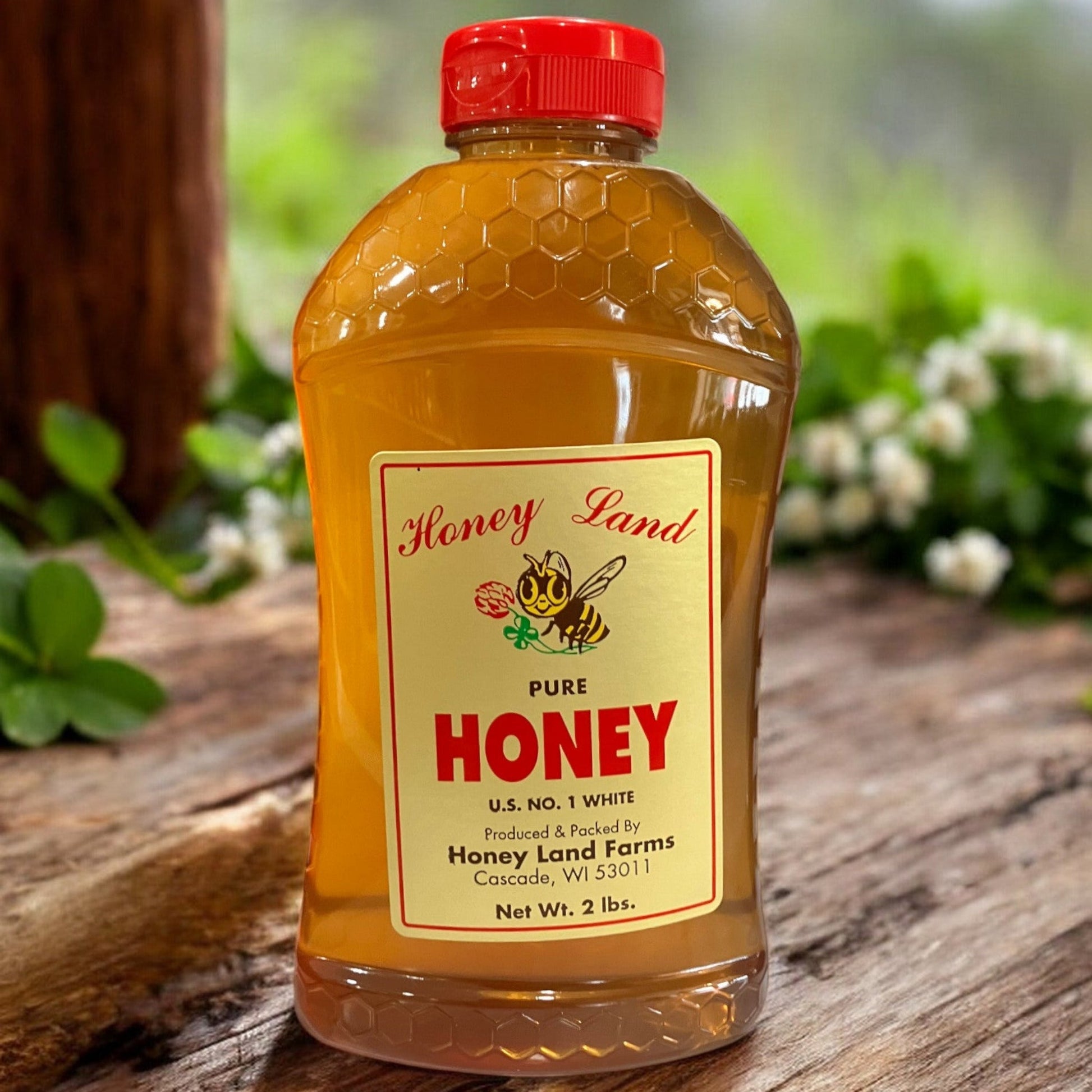 32 oz Honey Land Clover Honey Bottle - Holland Landscape Supply