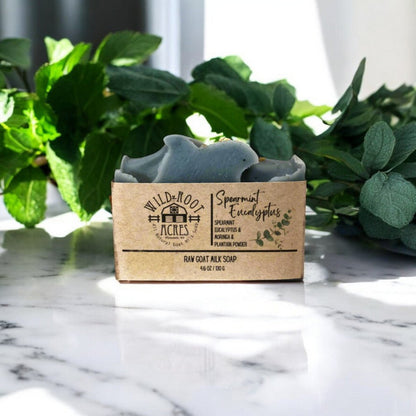 Bar Soap - Holland Landscape Supply