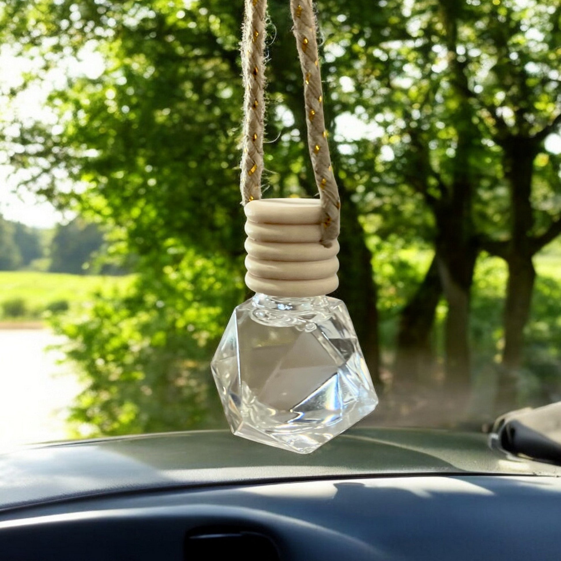Car Diffuser - Holland Landscape Supply