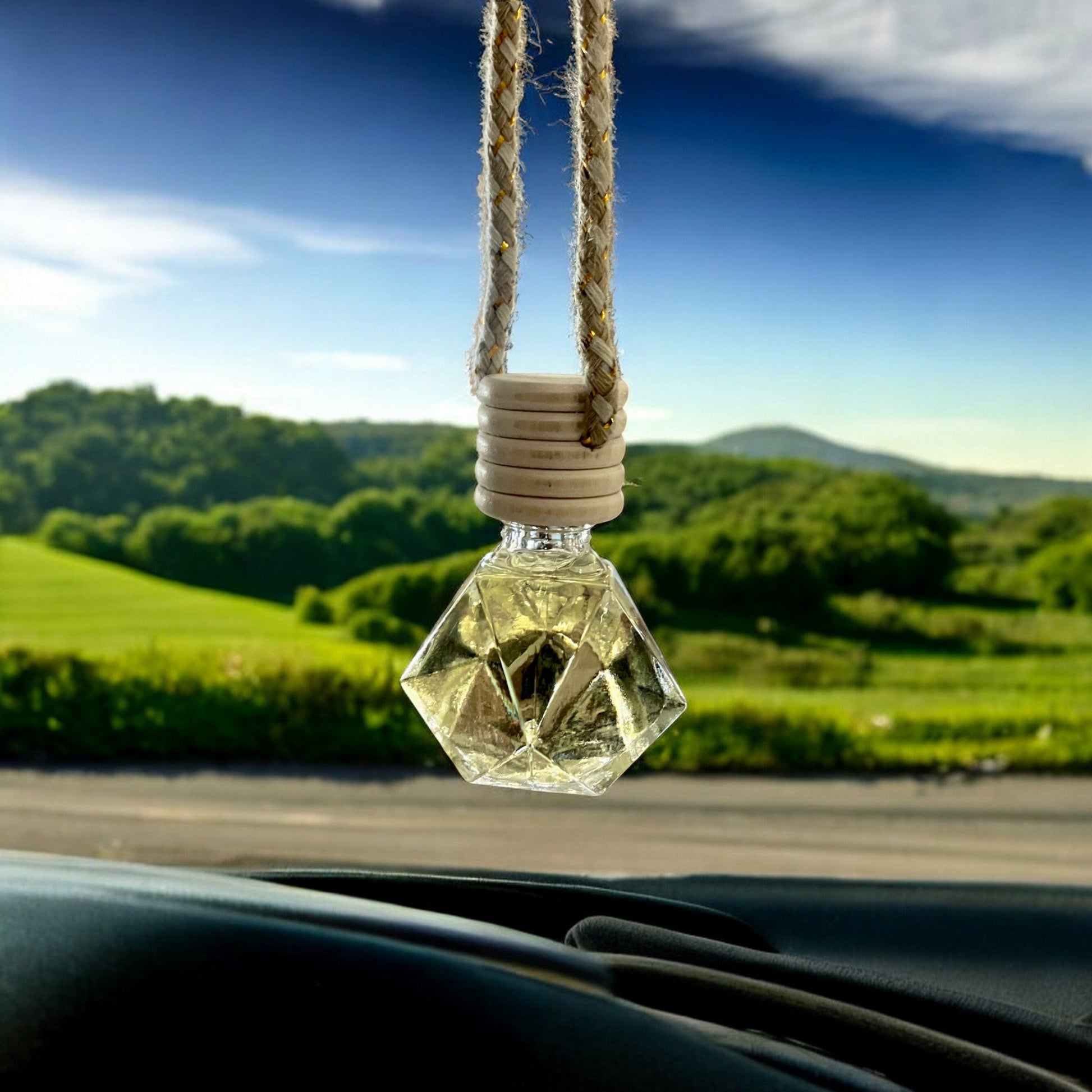 Car Diffuser - Holland Landscape Supply