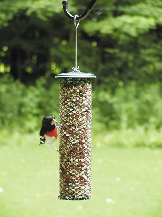 Peanut Feeder - Holland Landscape Supply