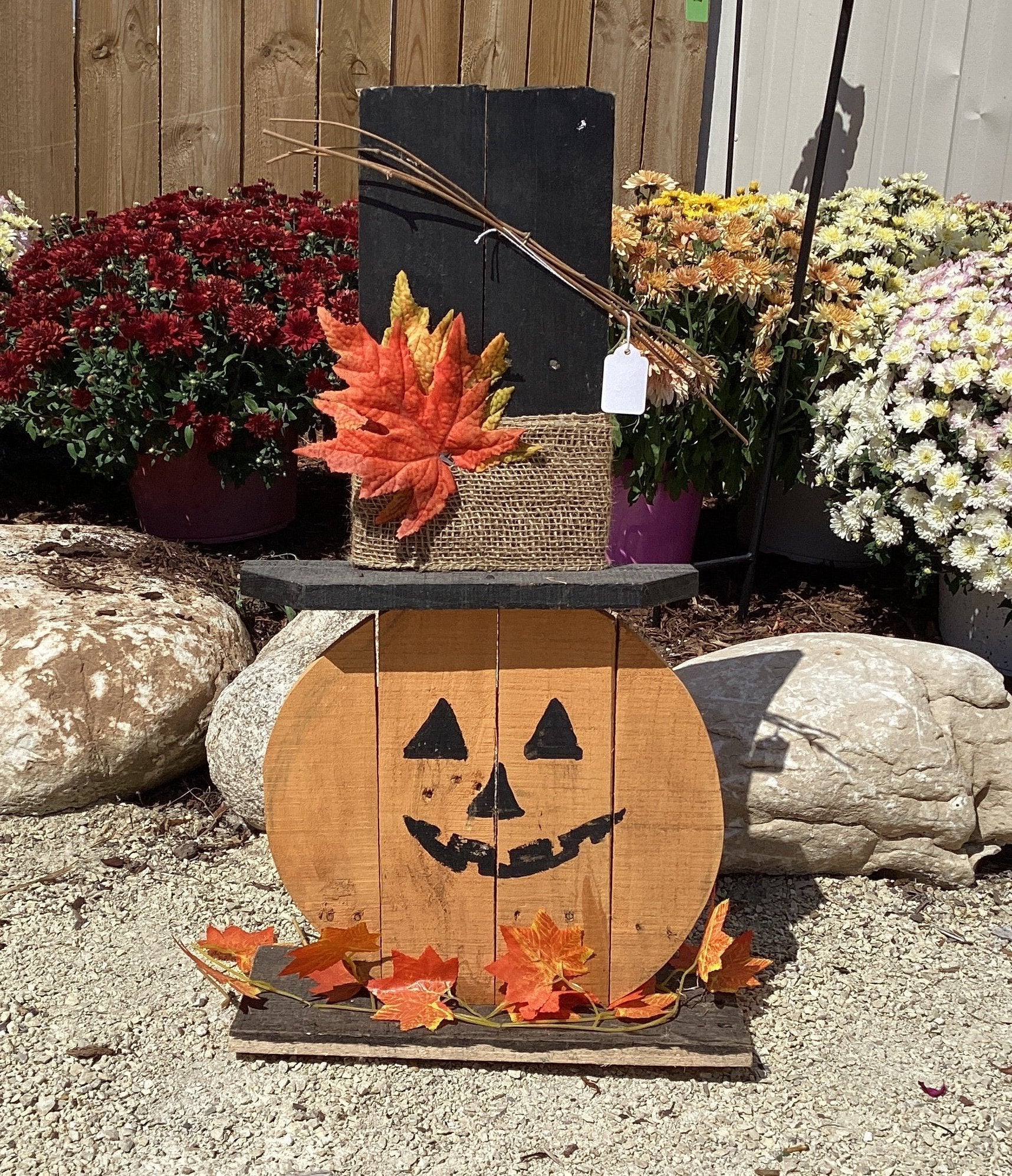 Pumpkins with Top Hats - Holland Landscape Supply