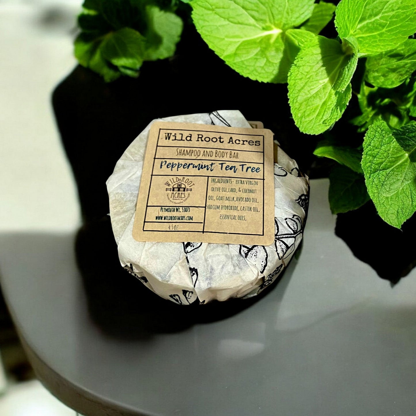 Shampoo and Body Bar - Holland Landscape Supply