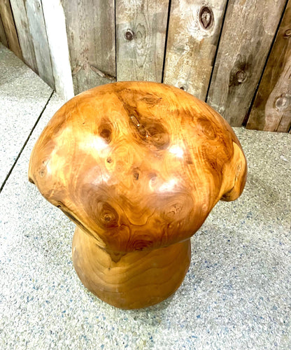 Wooden Mushroom Stool - Holland Landscape Supply