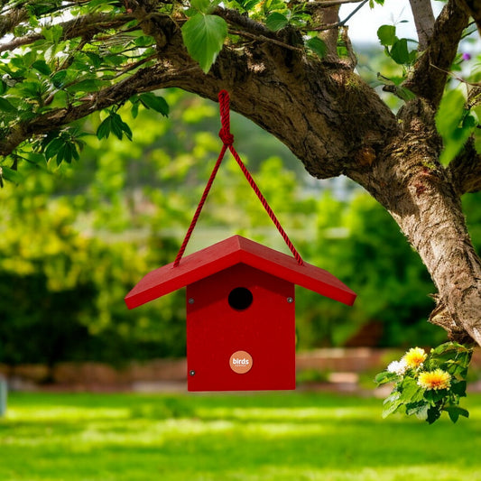 Wren Houses - Holland Landscape Supply