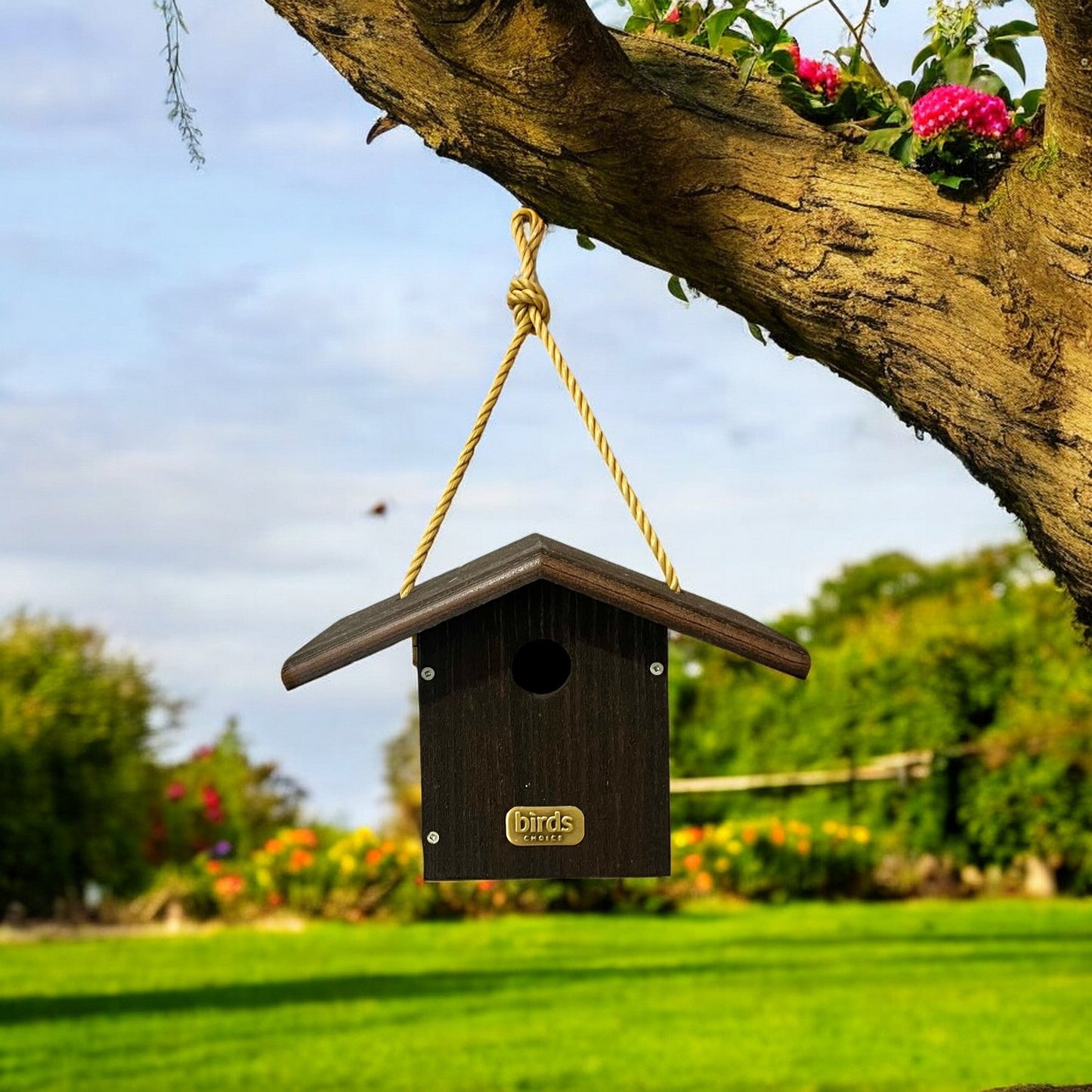 Wren Houses - Holland Landscape Supply